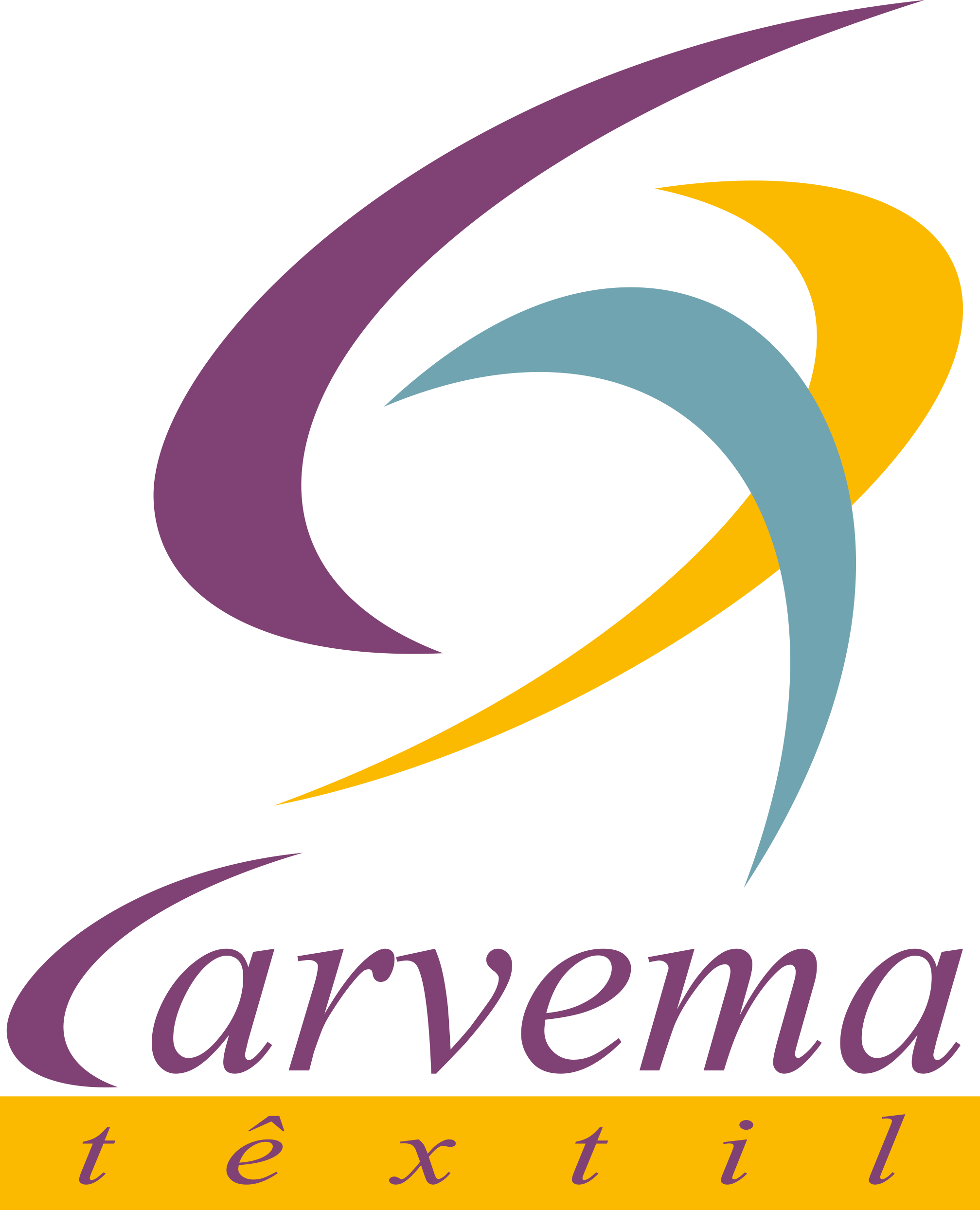Logo carvema